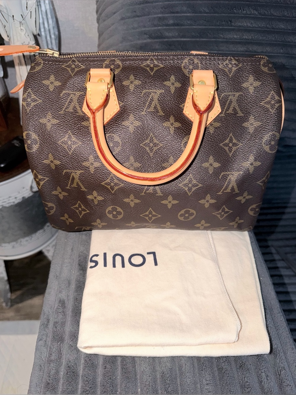 Louis Vuitton Speedy 25 bag